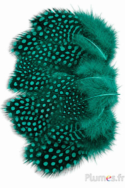 Perlhuhn - 3-6 cm - smaragd